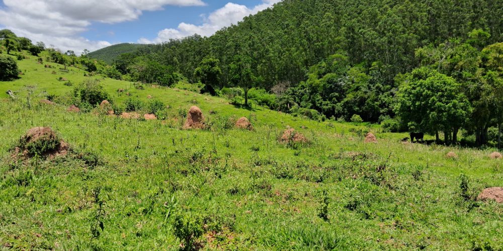 8 - IMG-20240220-WA0160